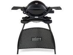 Weber® Q 1200 Gasbarbecue Met Stand